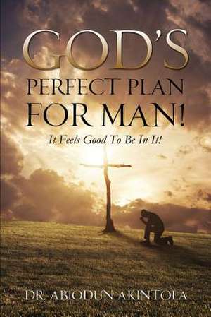 God's Perfect Plan for Man! de Abiodun Akintola