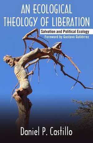 Ecological Theology of Liberation de Daniel P Castillo