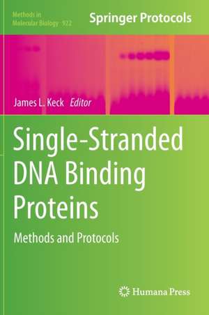 Single-Stranded DNA Binding Proteins: Methods and Protocols de James L. Keck