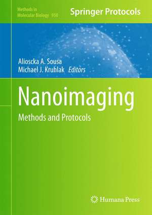 Nanoimaging: Methods and Protocols de Alioscka A. Sousa