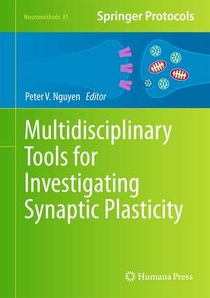 Multidisciplinary Tools for Investigating Synaptic Plasticity de Peter V. Nguyen