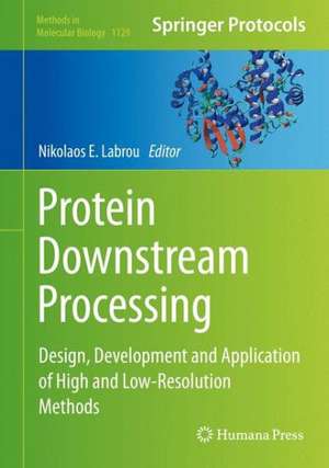 Protein Downstream Processing: Design, Development and Application of High and Low-Resolution Methods de Nikolaos E. Labrou