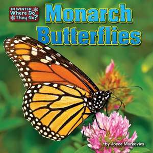 Monarch Butterflies de Joyce Markovics