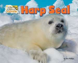 Harp Seal de Dee Phillips