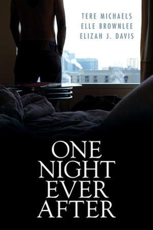 One Night Ever After de Tere Michaels