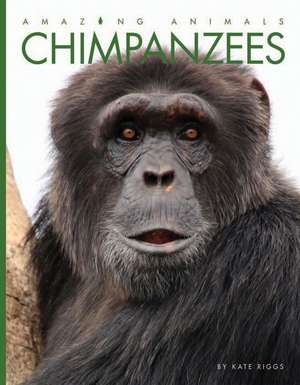 Chimpanzees de Kate Riggs