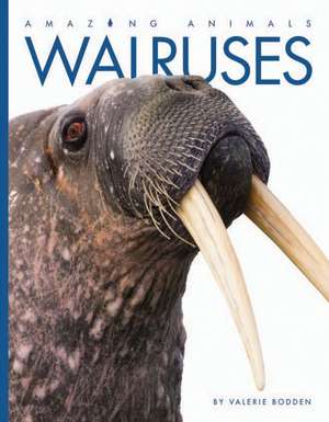 Walruses de Valerie Bodden