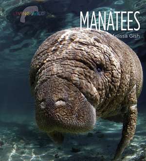 Manatees de Melissa Gish