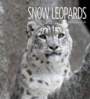 Snow Leopards de Melissa Gish