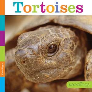 Tortoises de Quinn M. Arnold