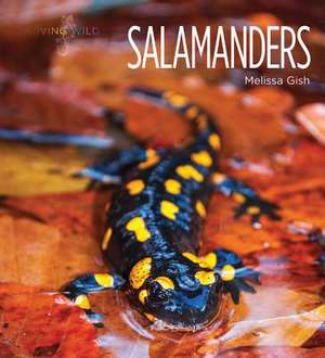 Salamanders de Melissa Gish