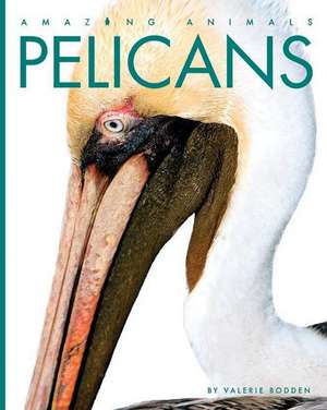 Pelicans de Valerie Bodden