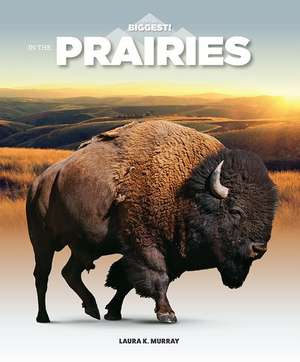 In the Prairies de Laura K. Murray