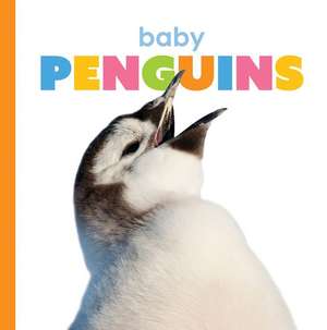 Baby Penguins de Kate Riggs