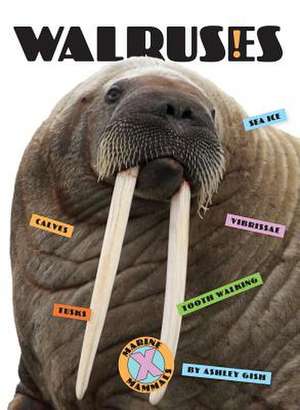 Walruses de Ashley Gish