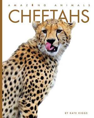 Cheetahs de Kate Riggs