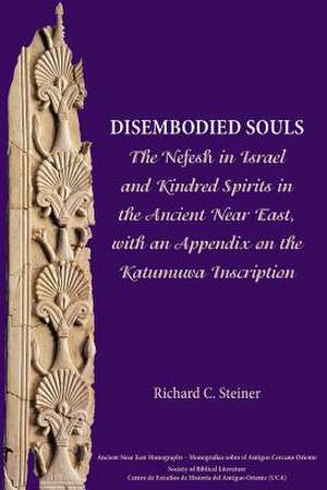 Disembodied Souls de Richard C. Steiner