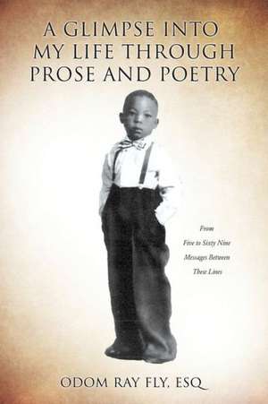 A Glimpse Into My Life Through Prose and Poetry de Esq Odom Ray Fly