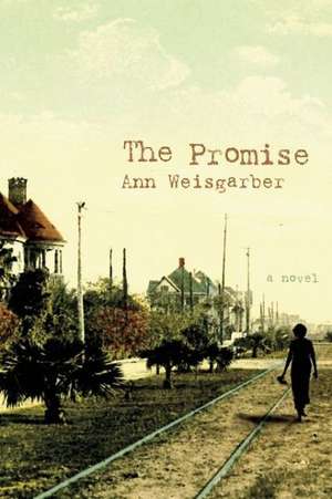 The Promise de Ann Weisgarber