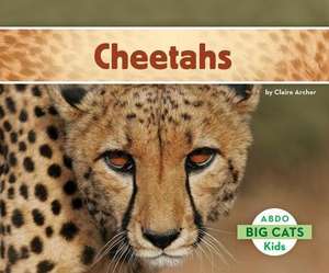 Cheetahs: Direct Sales/Network Marketing and Beyond Guide to Keeping Your Calendar Full de Claire Archer