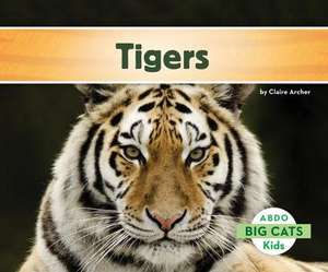 Tigers de Claire Archer