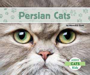 Dash, M: Persian Cats