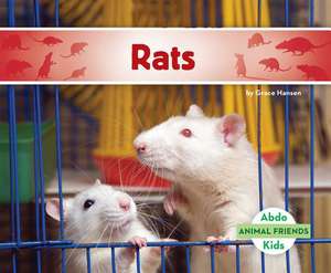 Rats de Grace Hansen