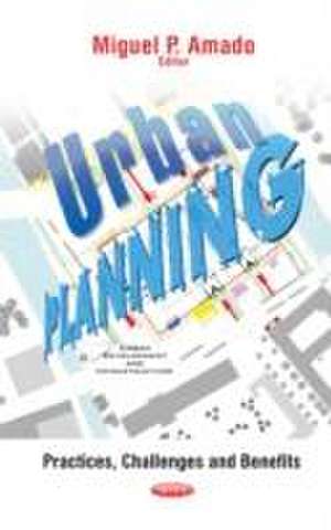 Urban Planning de Miguel P Amado