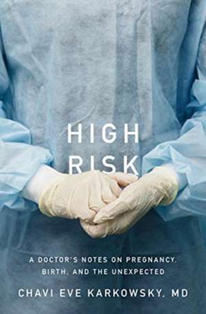 High Risk – Stories of Pregnancy, Birth, and the Unexpected de Chavi Eve Karkowsky