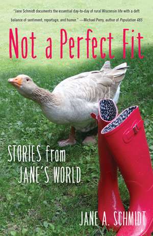 Not a Perfect Fit de Jane A. Schmidt