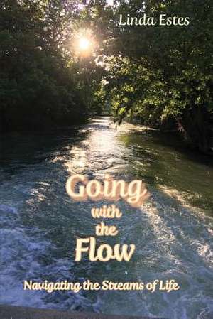 Going with the Flow de Linda Estes