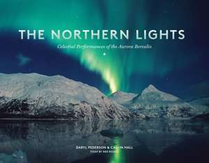 The Northern Lights de Daryl Pederson