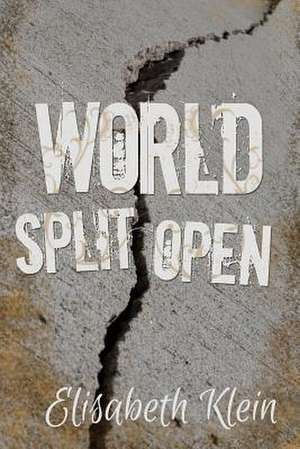 World Split Open de Elisabeth Klein