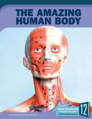 The Amazing Human Body de Christine Zuchora-Walske