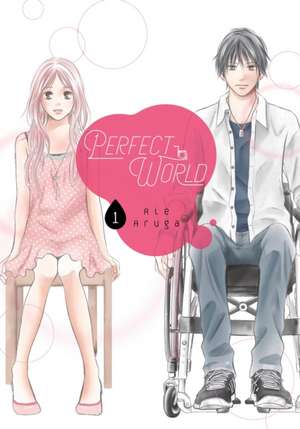 Perfect World 1 de Rie Aruga