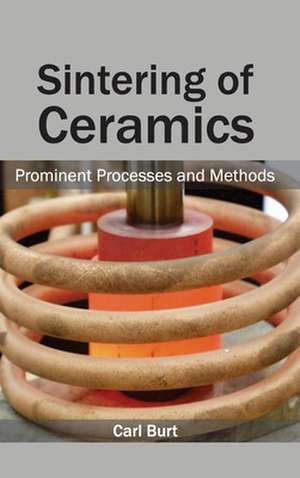 Sintering of Ceramics de Carl Burt