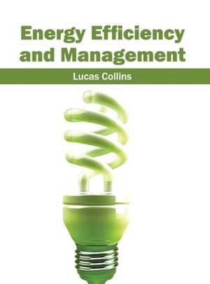 Energy Efficiency and Management de Lucas Collins