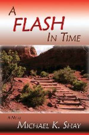 A Flash in Time de Michael K. Shay