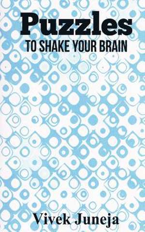 Puzzles - To Shake Your Brain de Vivek Juneja