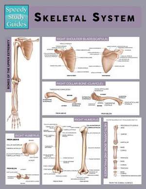 Skeletal System (Speedy Study Guide) de Speedy Publishing LLC