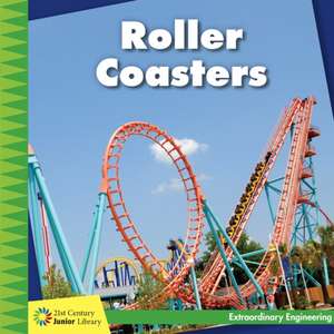 Roller Coasters de Virginia Loh-Hagan
