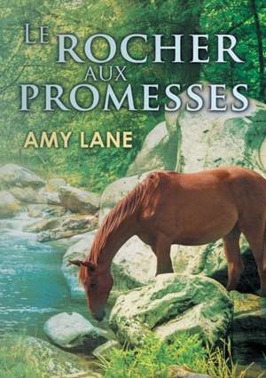 Le Rocher Aux Promesses de Amy Lane