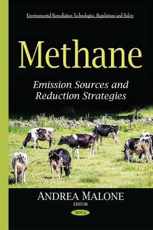 Methane: Emission Sources & Reduction Strategies de Andrea Malone