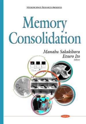 Memory Consolidation