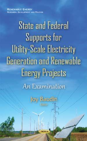 State & Federal Supports for Utility-Scale Electricity Generation & Renewable Energy Projects: An Examination de Joy Baudin