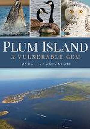 Plum Island de Dyke Hendrickson