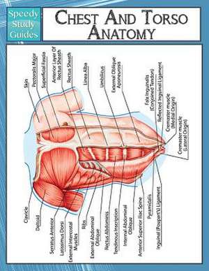 Chest and Torso Anatomy (Speedy Study Guide): Valuable Tips for Shedding Off the Baby Weight de Speedy Publishing LLC