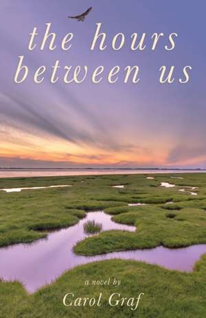 The Hours Between Us de Carol Graf