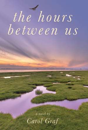 The Hours Between Us de Carol Graf