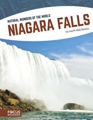 Niagara Falls de Lisa M. Bolt Simons